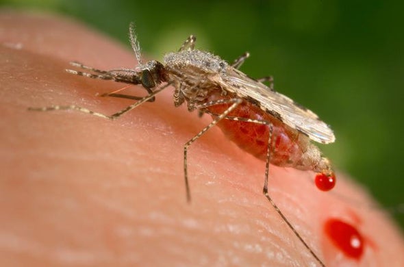 Crean vacuna contra la malaria que usa parásitos atenuados genéticamente