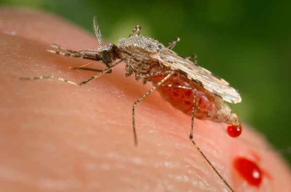 virus o parásito genéticamente modificado