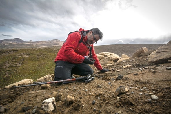 Fósiles de Chile y Antártica revelan los últimos 'minutos geológicos' de la era de los dinosaurios
