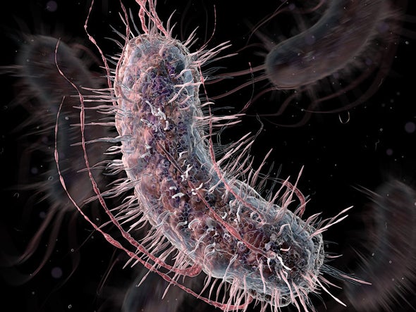 Crean bacterias sintéticas que detectan diabetes y cáncer en la orina