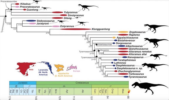 t.rex phylogeny