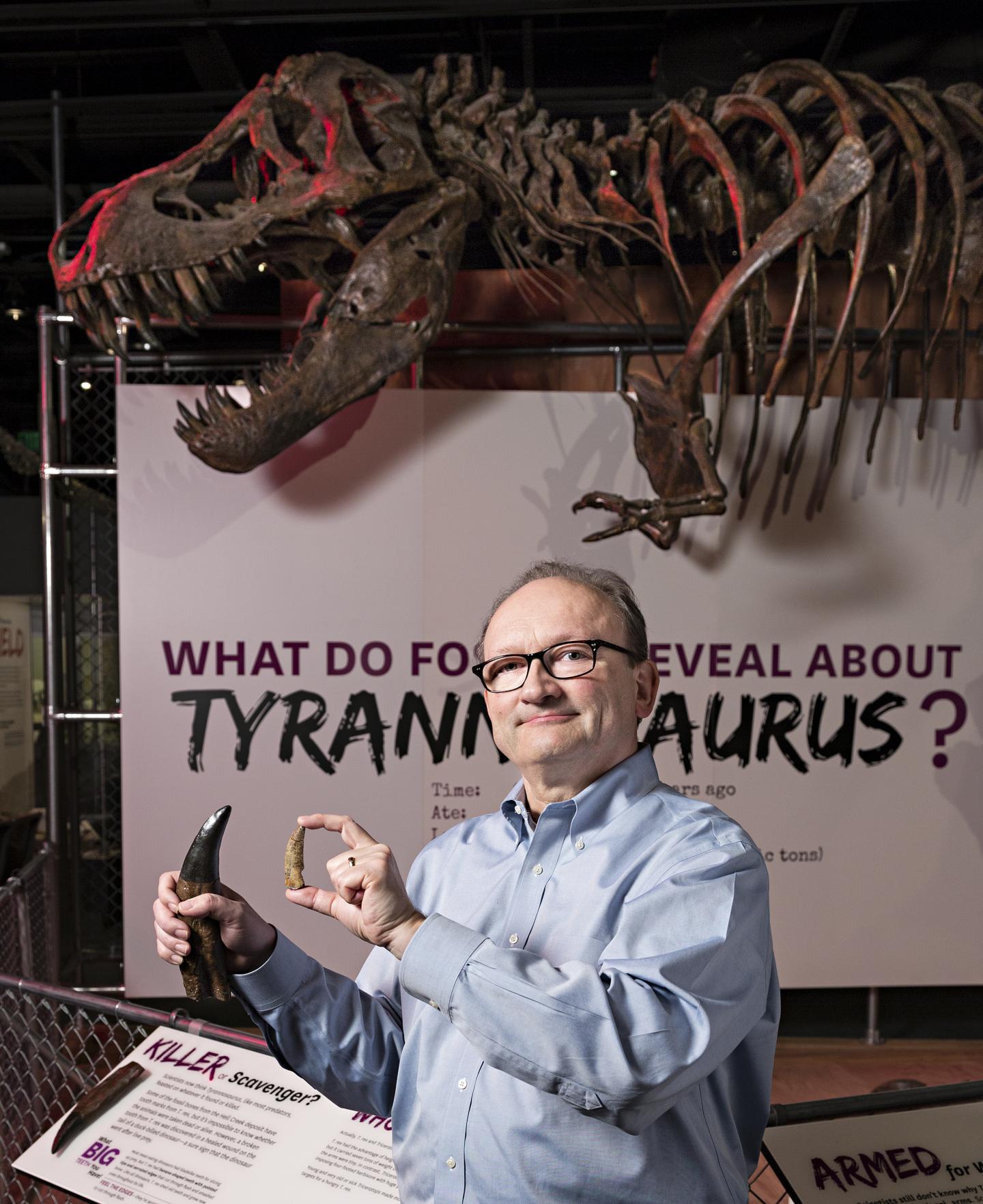 New Tyrannosaur Species Reveals How the King of the Dinosaurs Won Its Crown  | Scientific American