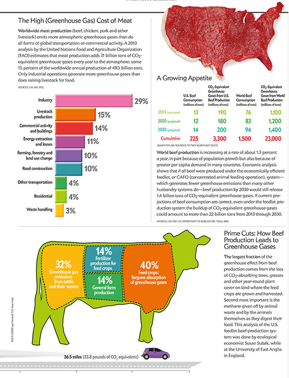 The Alarming Environmental Costs of Beef | Scientific American