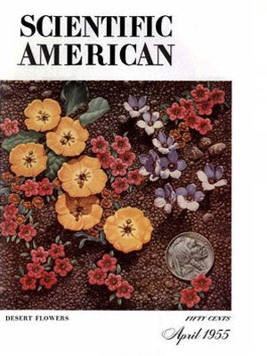 issue cover