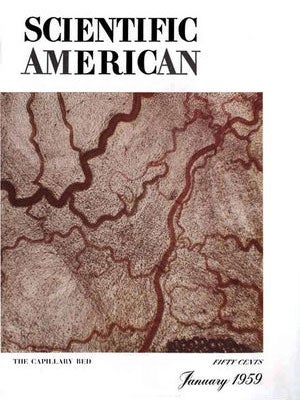 issue cover