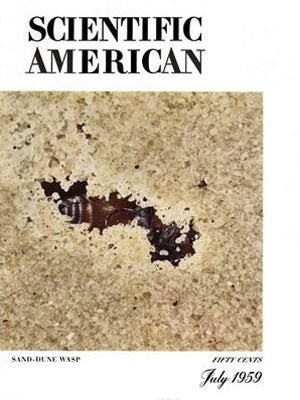 issue cover