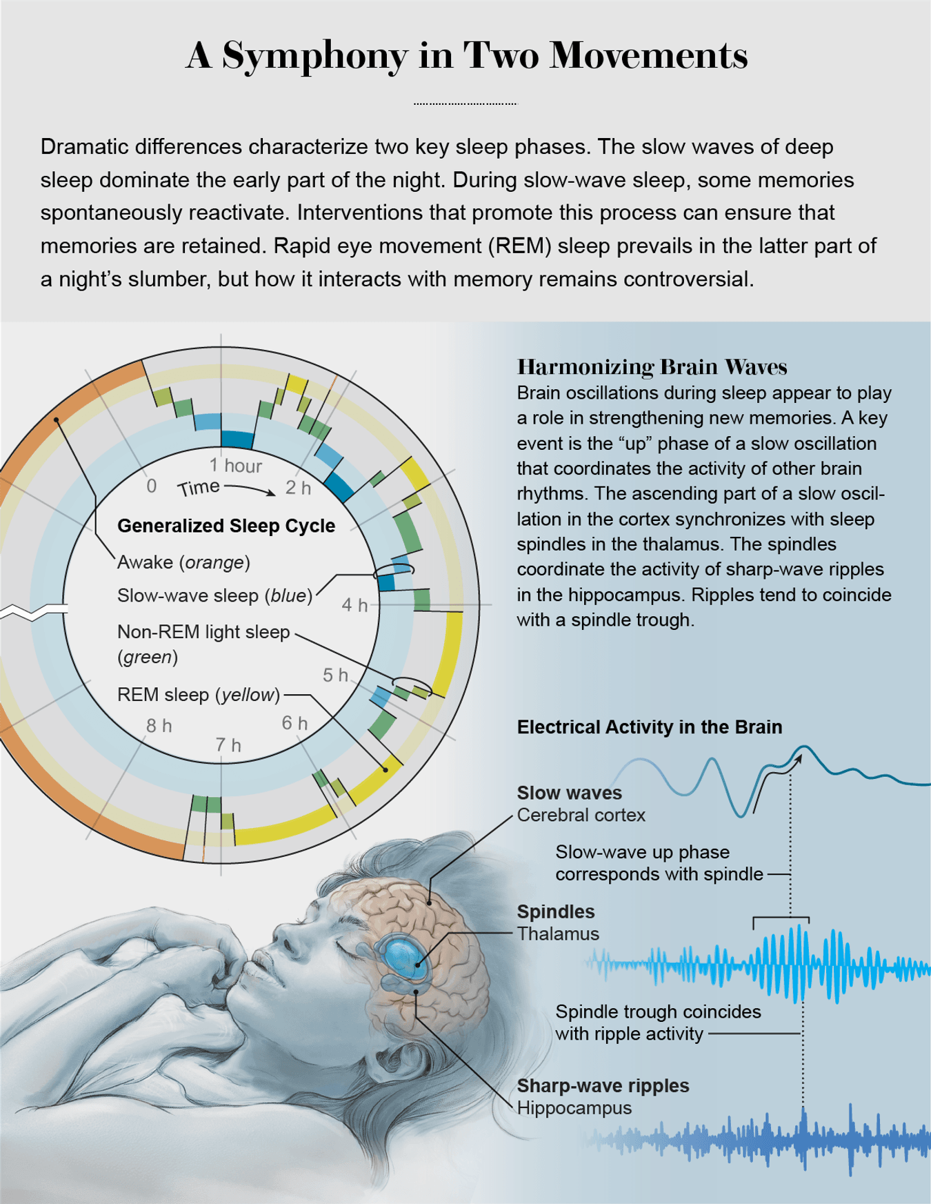 Memory Editing You Really Can Learn in Your Sleep | Scientific American