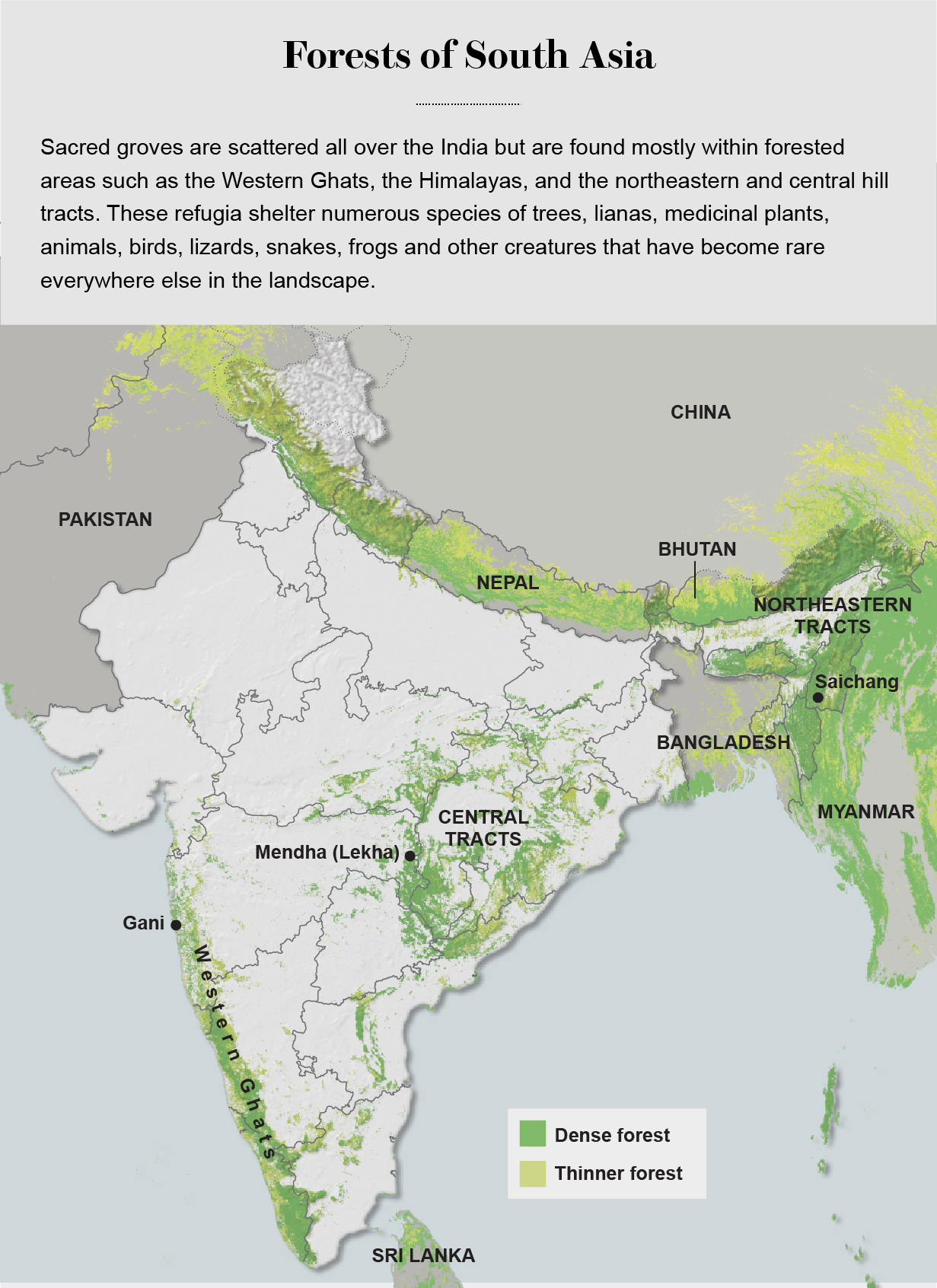 Sacred Groves An Ancient Tradition of Nature Conservation Scientific