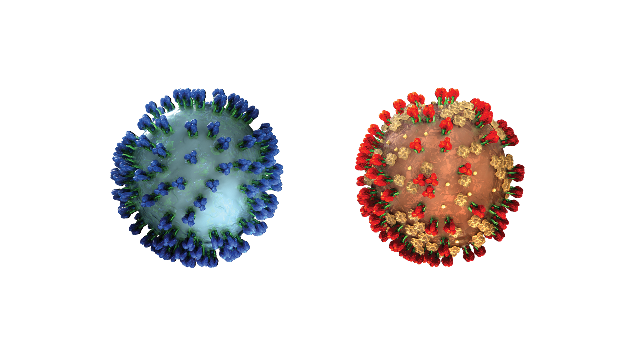 Энтеровирус возбудитель. Like virus