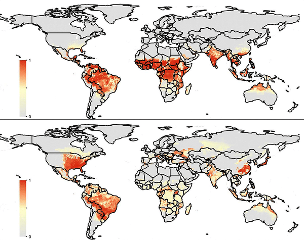 Mosquito-Borne Disease Could Threaten Half the Globe by 2050 ...