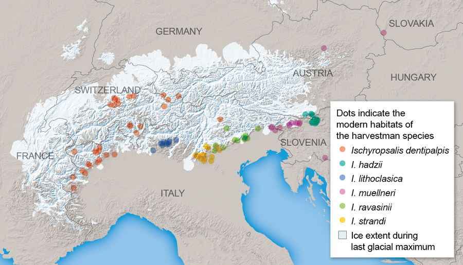 Cave Arachnids' Modern Range Matches Ancient Glacier Outline ...