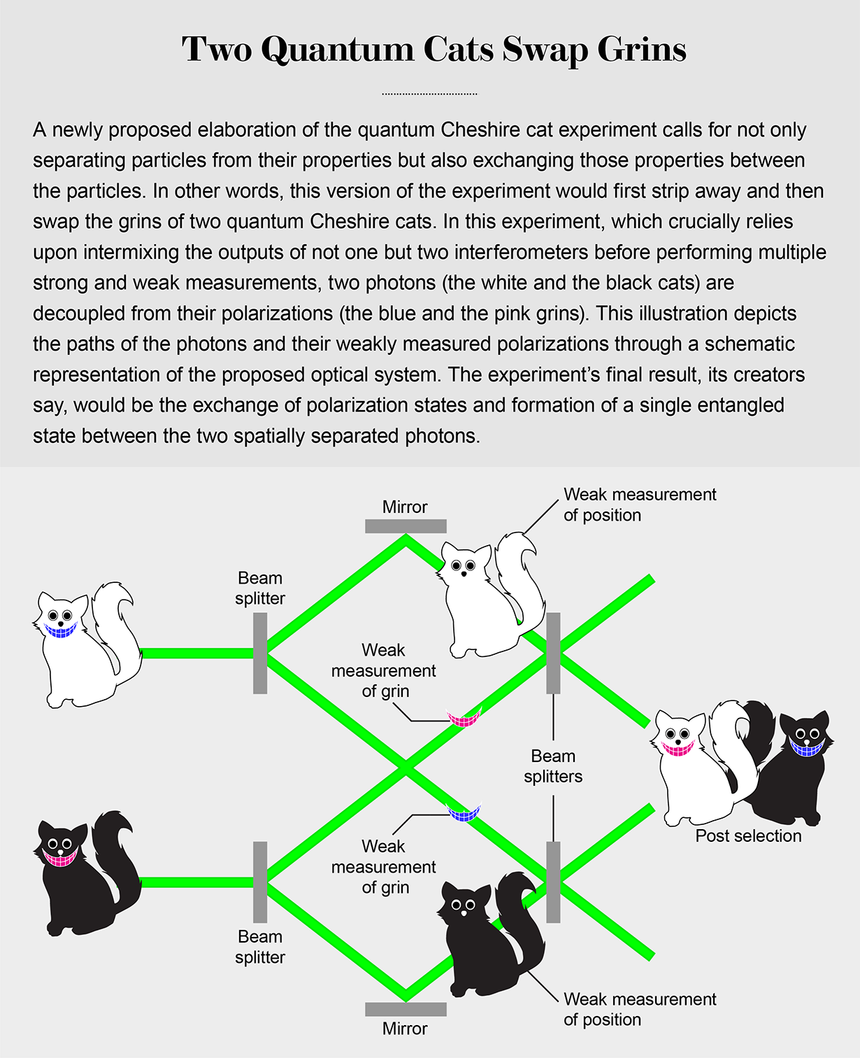 Spin Swapping Particles Could Be Quantum Cheshire Cats Scientific
