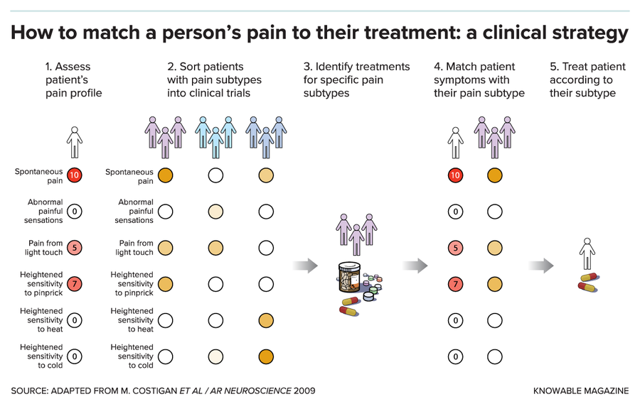 The Unexpected Diversity of Pain
