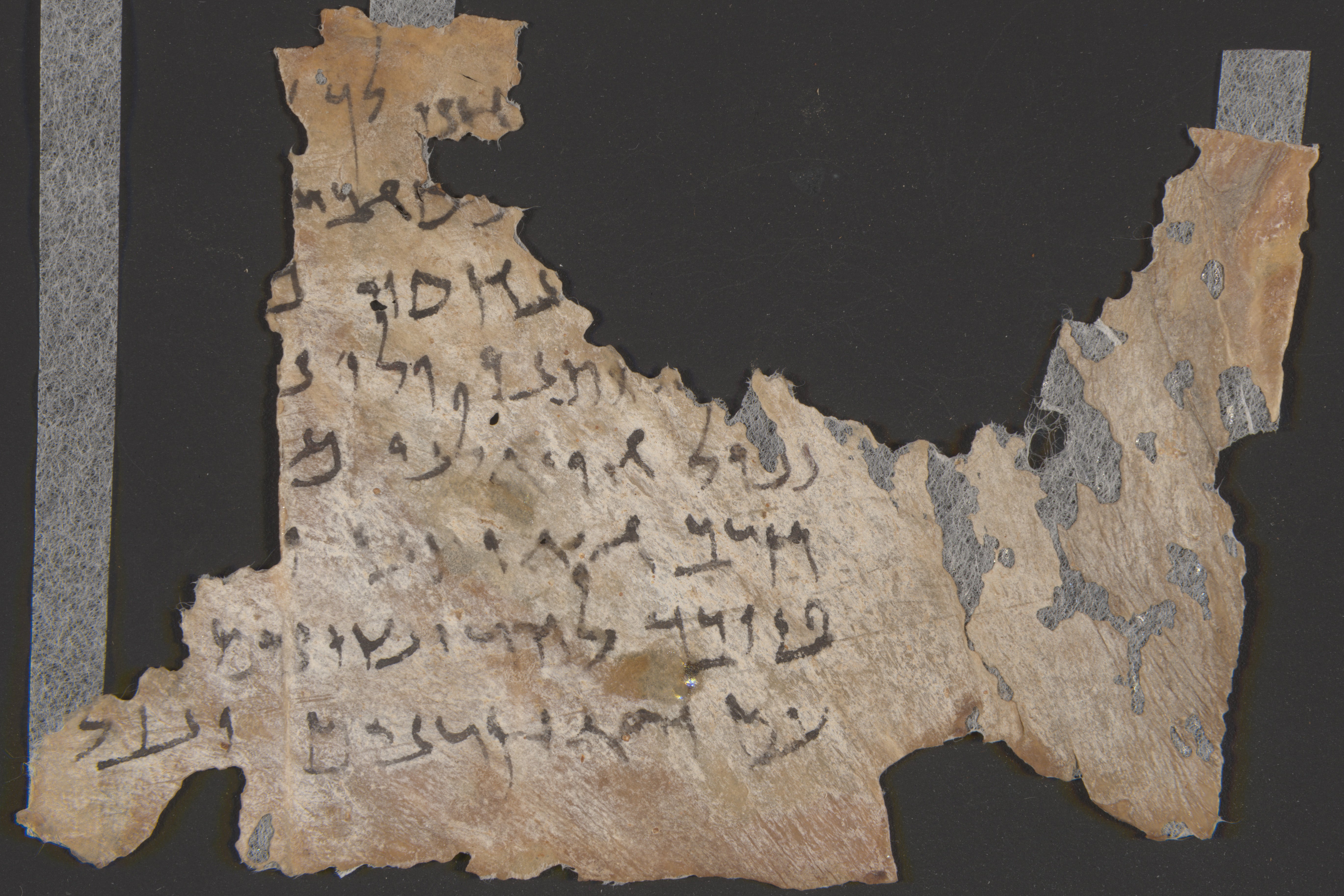 fragment of Scroll Hev/Se6