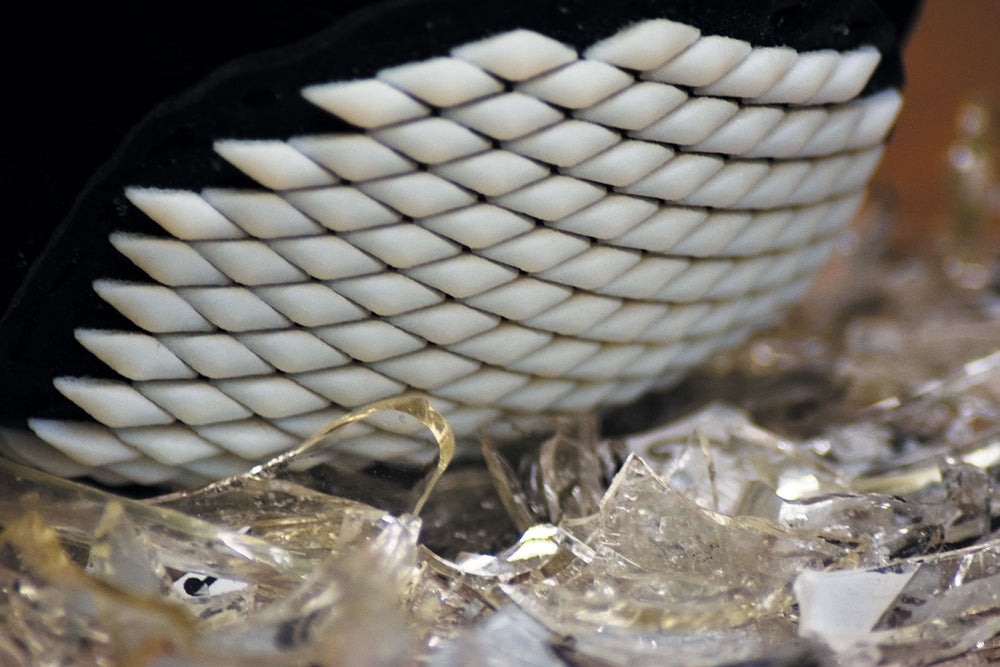 Flexible Armor Inspired by Mollusks Better Defends Joints | Scientific ...