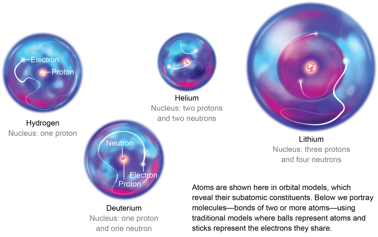 Hydrogen (1 proton, 1 electron); deuterium (1 proton, 1 neutron, 1 electron); helium (2 protons, 2 neutrons, 2 electrons) and lithium (3 protons, 4 neutrons, 3 electrons)