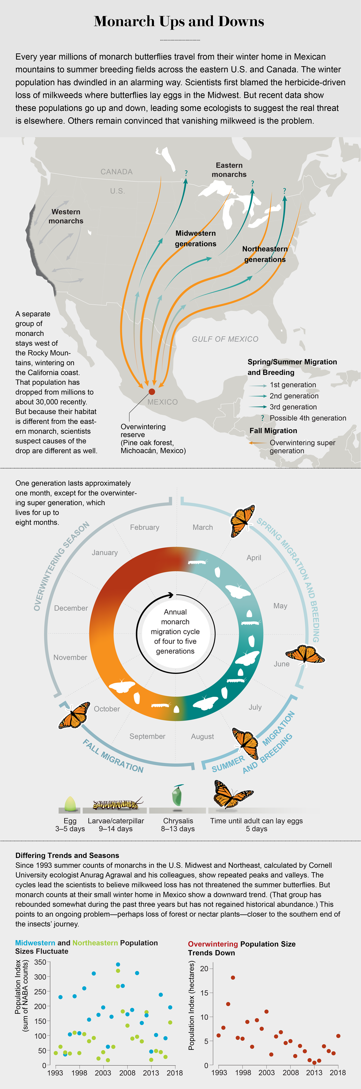 Charts show that winter monarch butterfly population size in Mexico has trended down (1993–2019); spring and summer populations have fluctuated. A migration map and life-cycle diagram provide more context