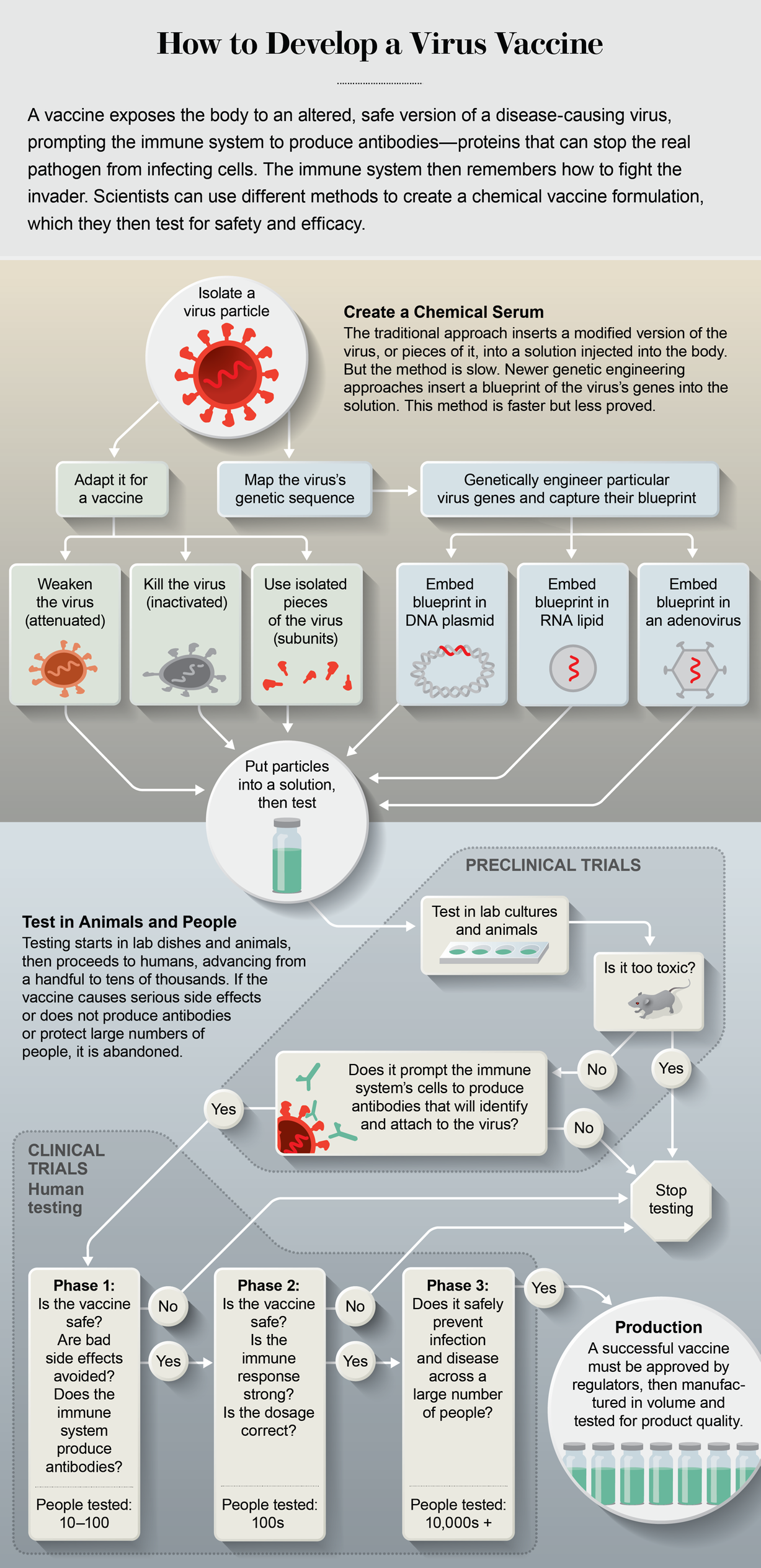 Flow chart outlines the steps of vaccine development, from isolating a virus particle to creating a chemical serum and testing for safety and efficacy