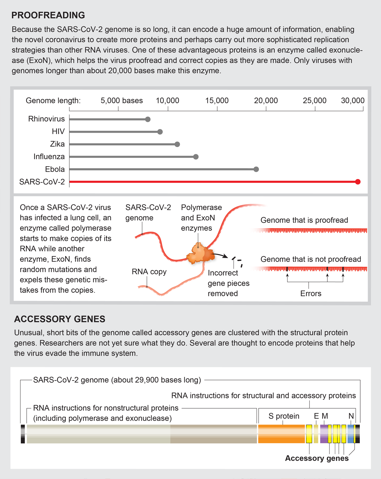 characteristics that set the SARS CoV-2 genome apart from those of other RNA viruses