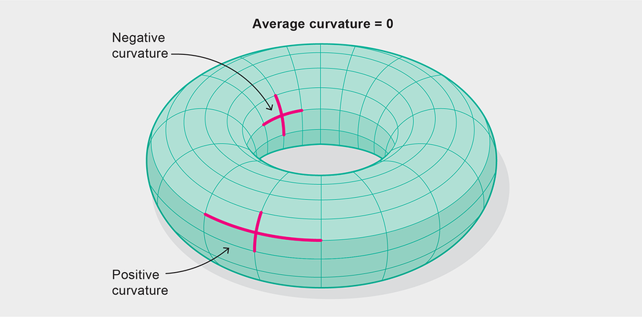 Negative and positive torus curvature