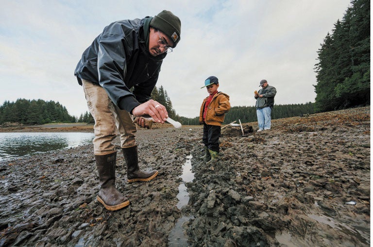 Payton's family creates trenches and seeds baby clams to increase the number of mature shellfish available to subsistence harvesters.