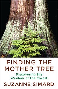 Finding the Mother Tree book cover.
