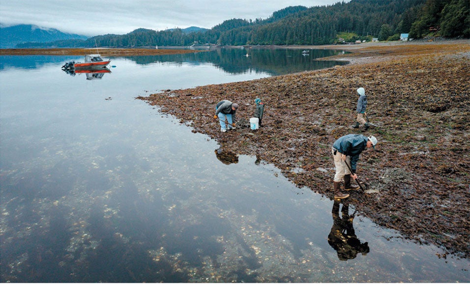 Three people looking for clams by the river.