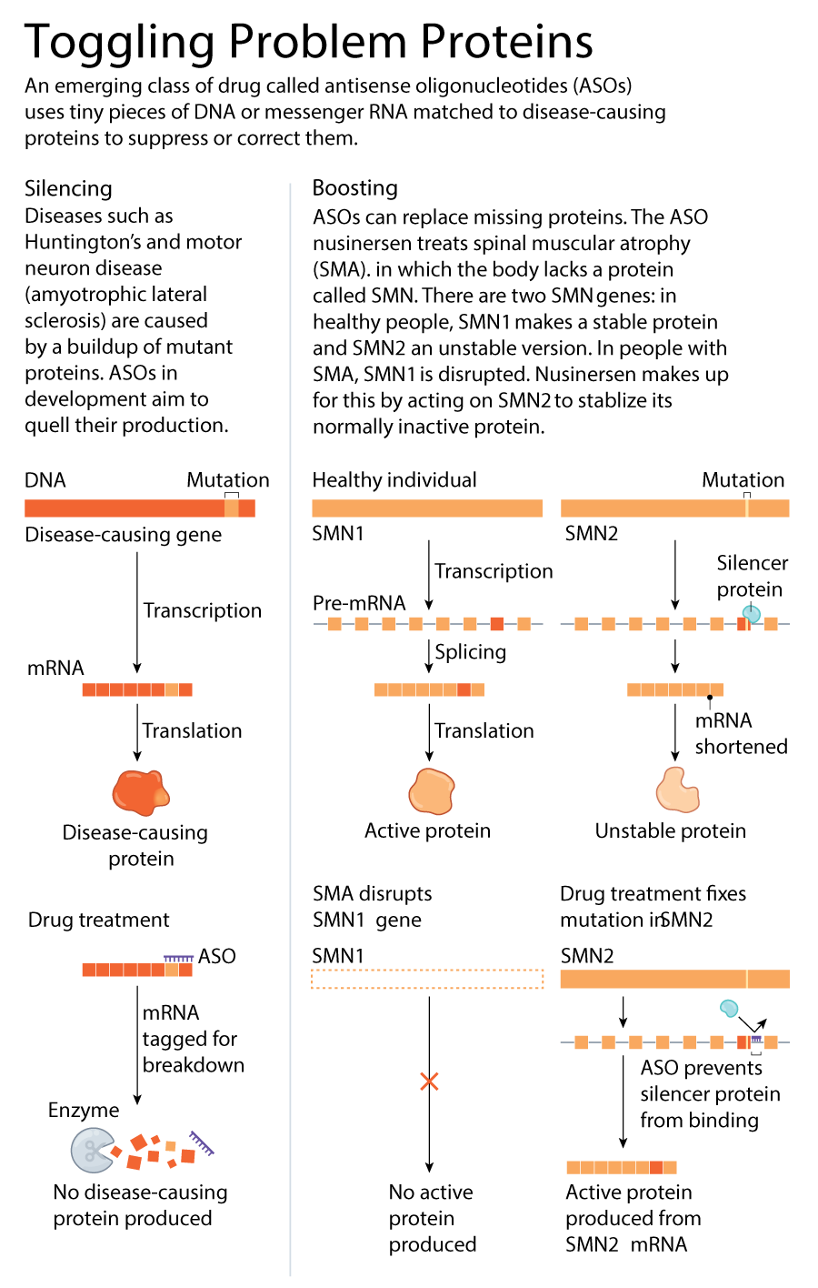 Toggling Problem Proteins graphic.