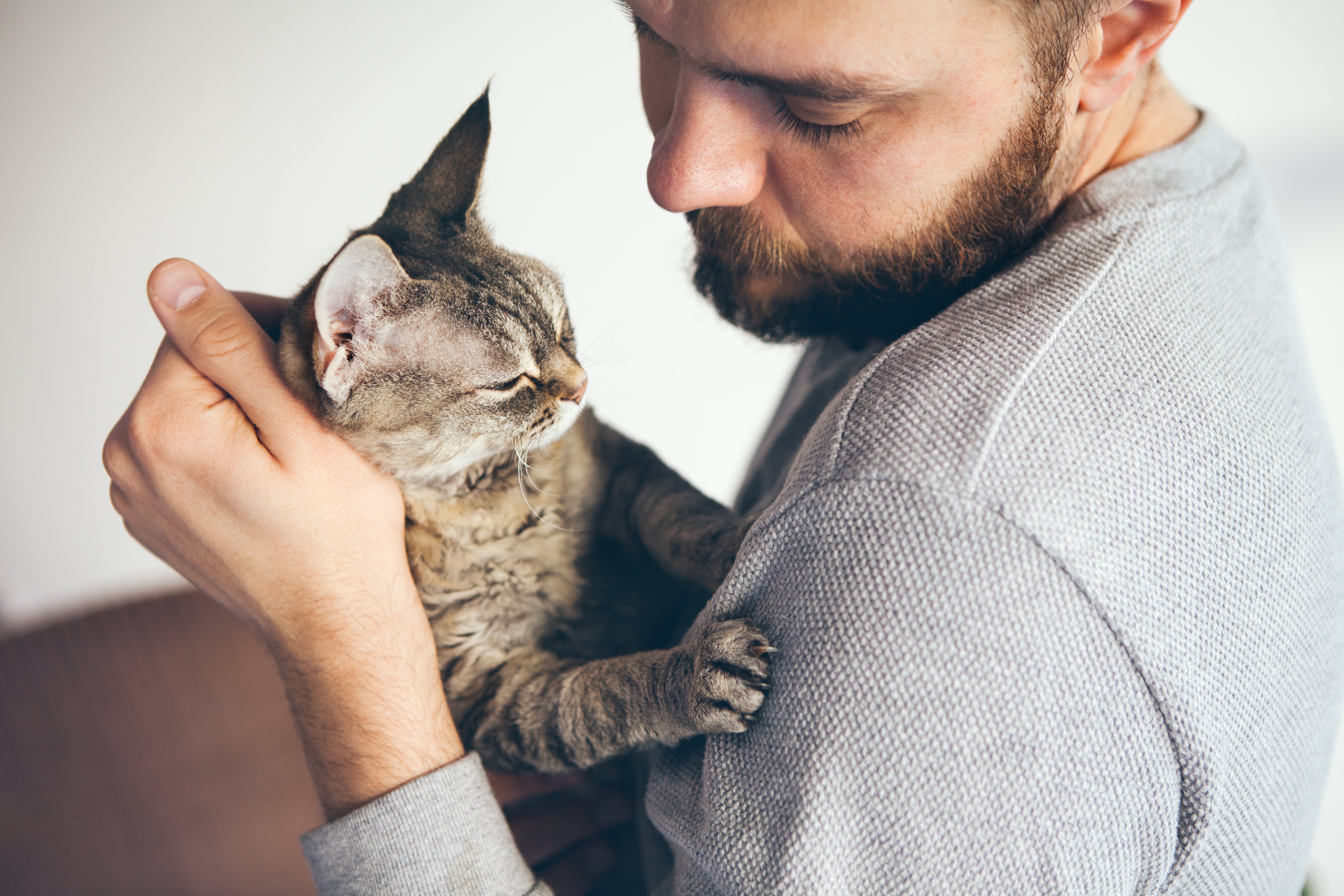 Close-up of beard man holding a brown cat.