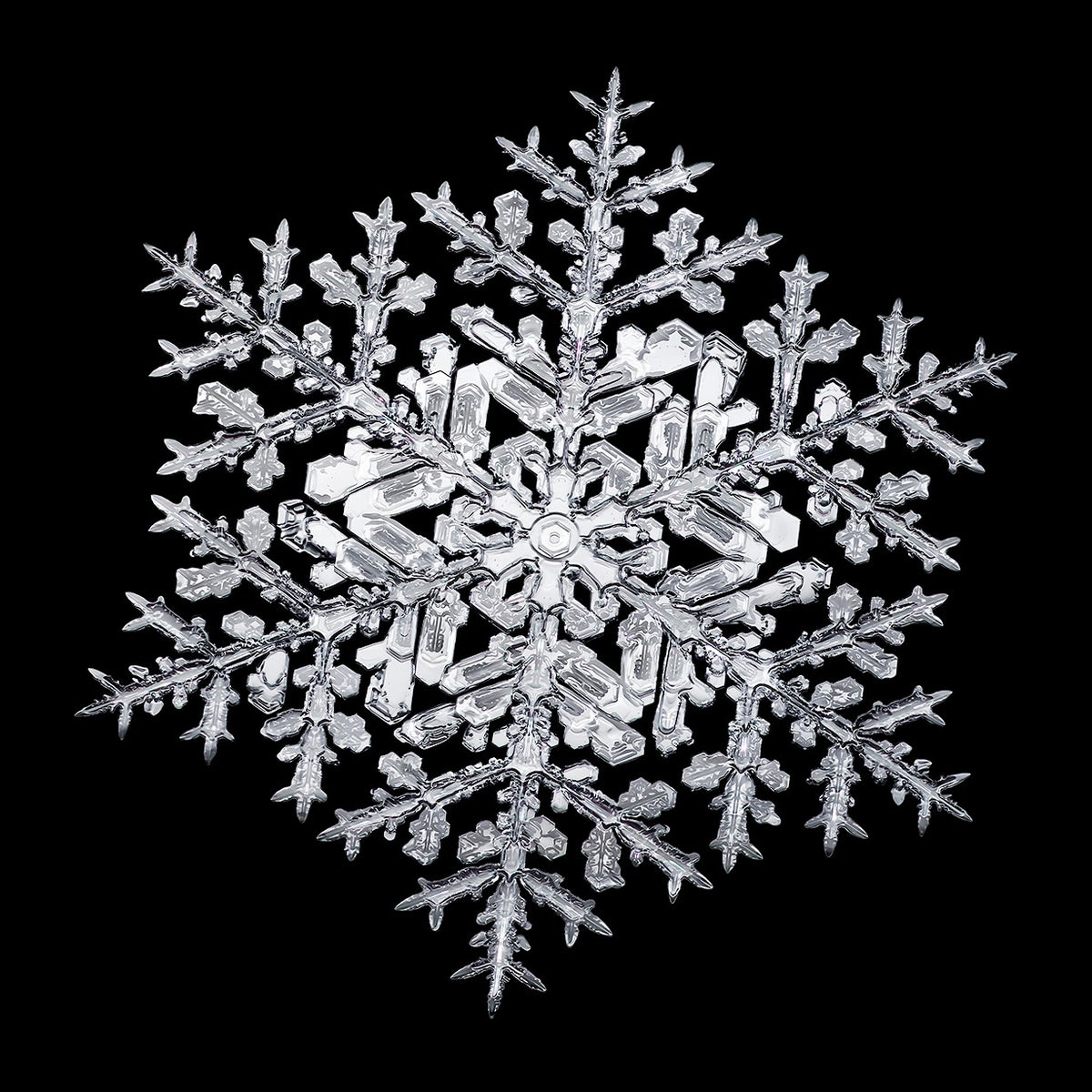 Stellar dendrite snowflake.