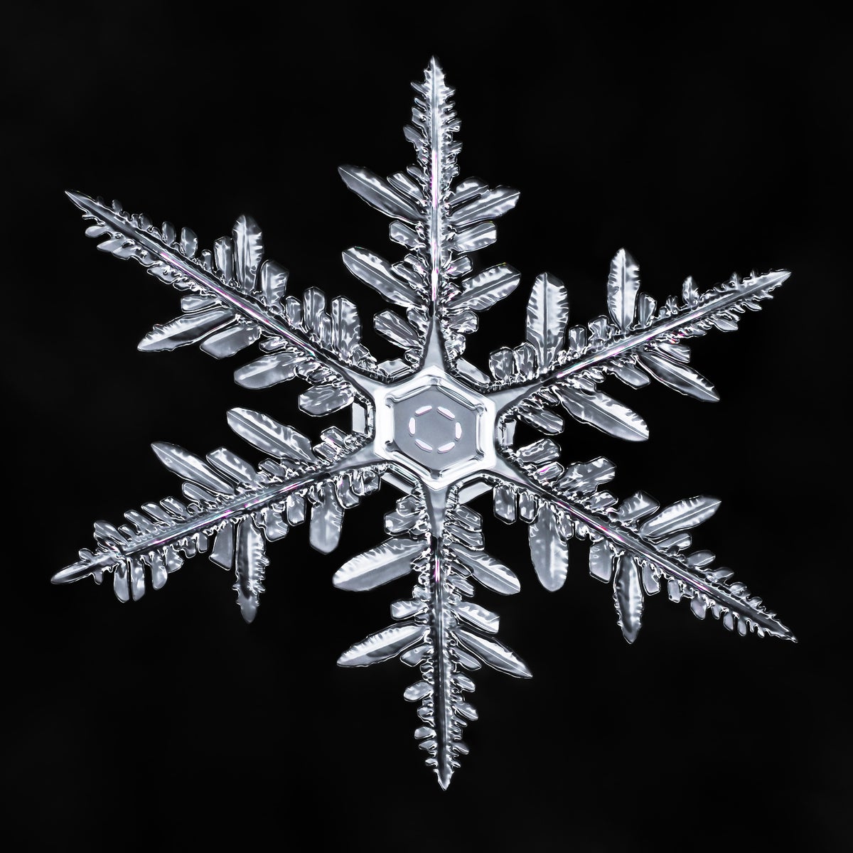 Plate snowflake that turned into a stellar dendrite.