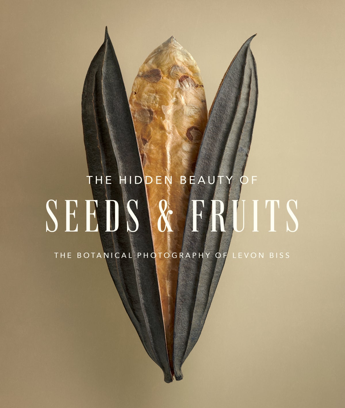 The Hidden Beauty of Seeds & Fruits: The Botanical Photography of Levon Biss book cover.