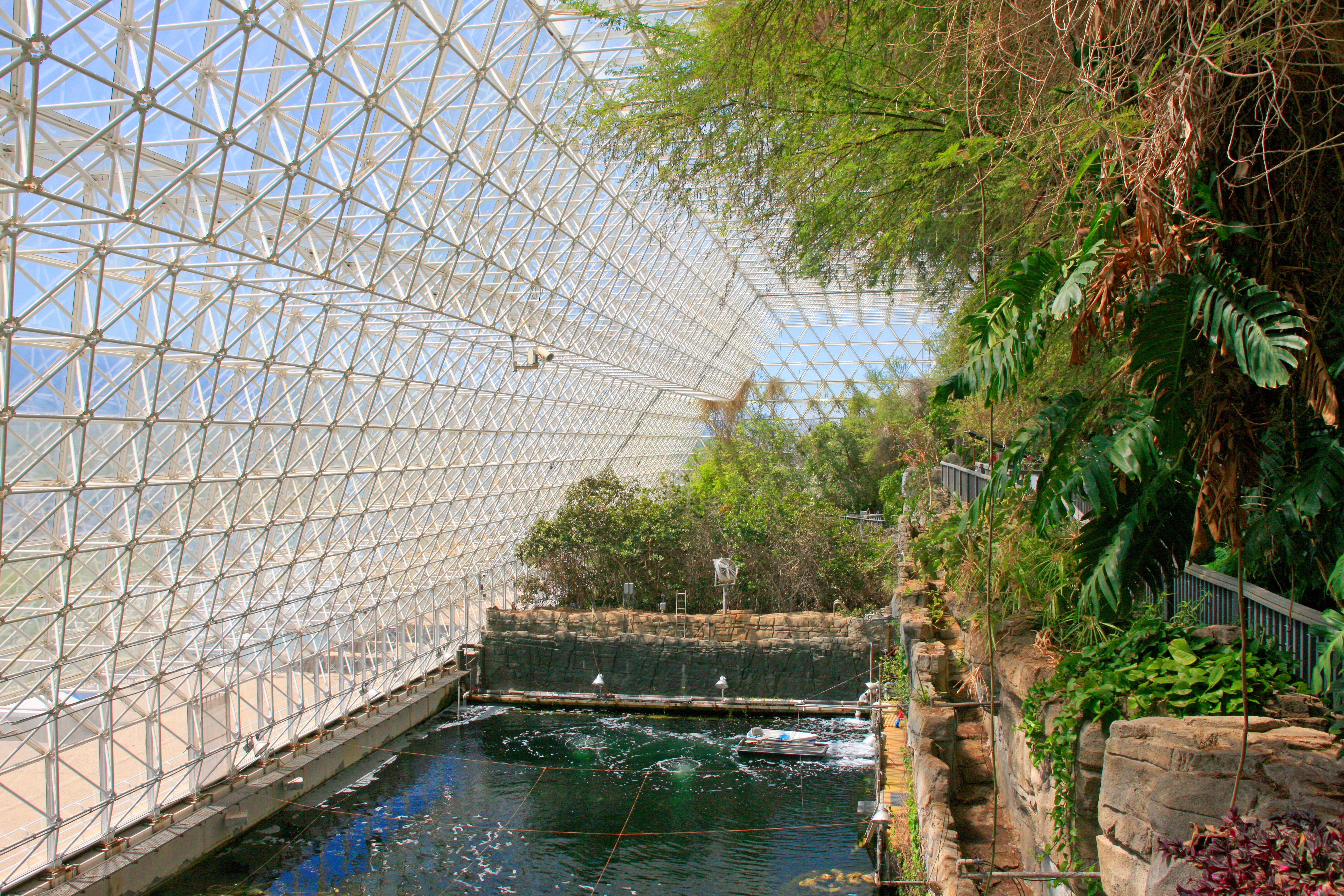 The rainforest area at Biosphere 2.