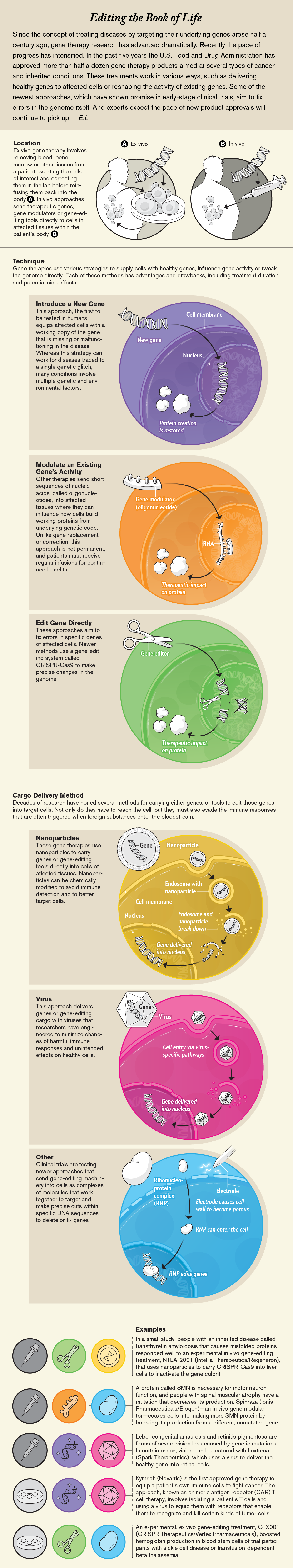 Graphic shows fundamental techniques and delivery methods of gene therapy and examples of how they combine to treat illness.