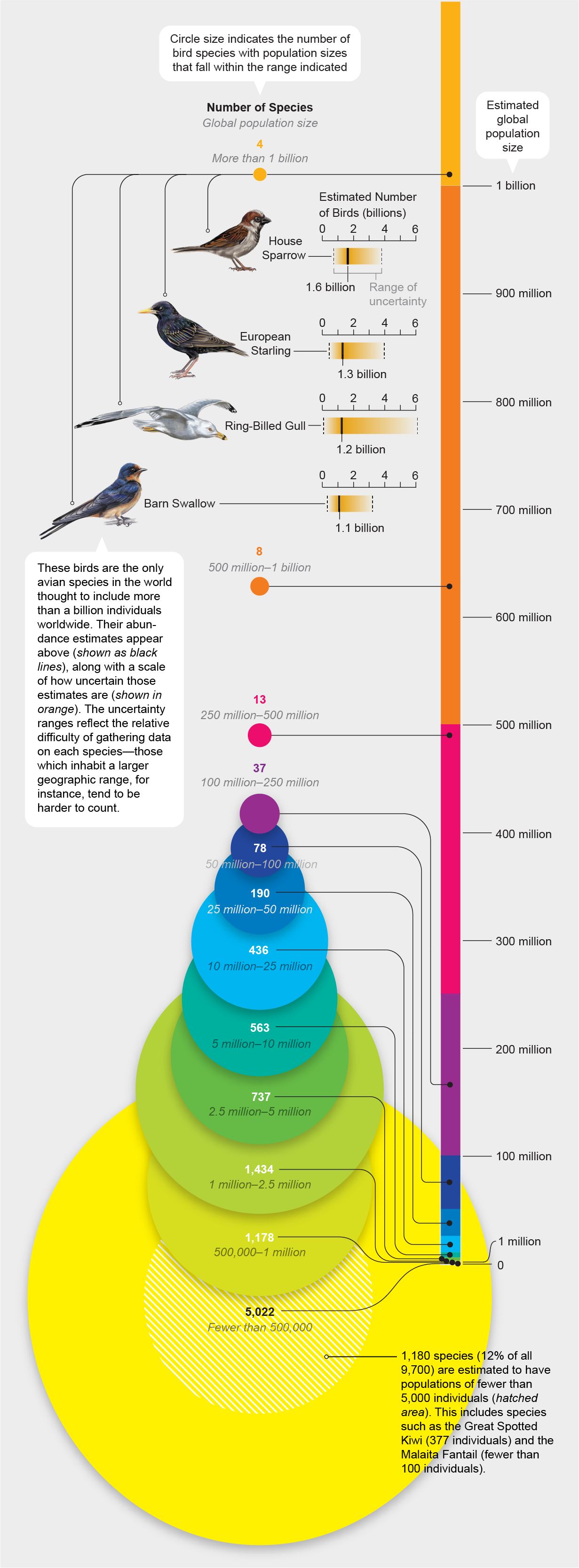 The graph groups birds by population size and displays circles scaled according to the number of species in each group.