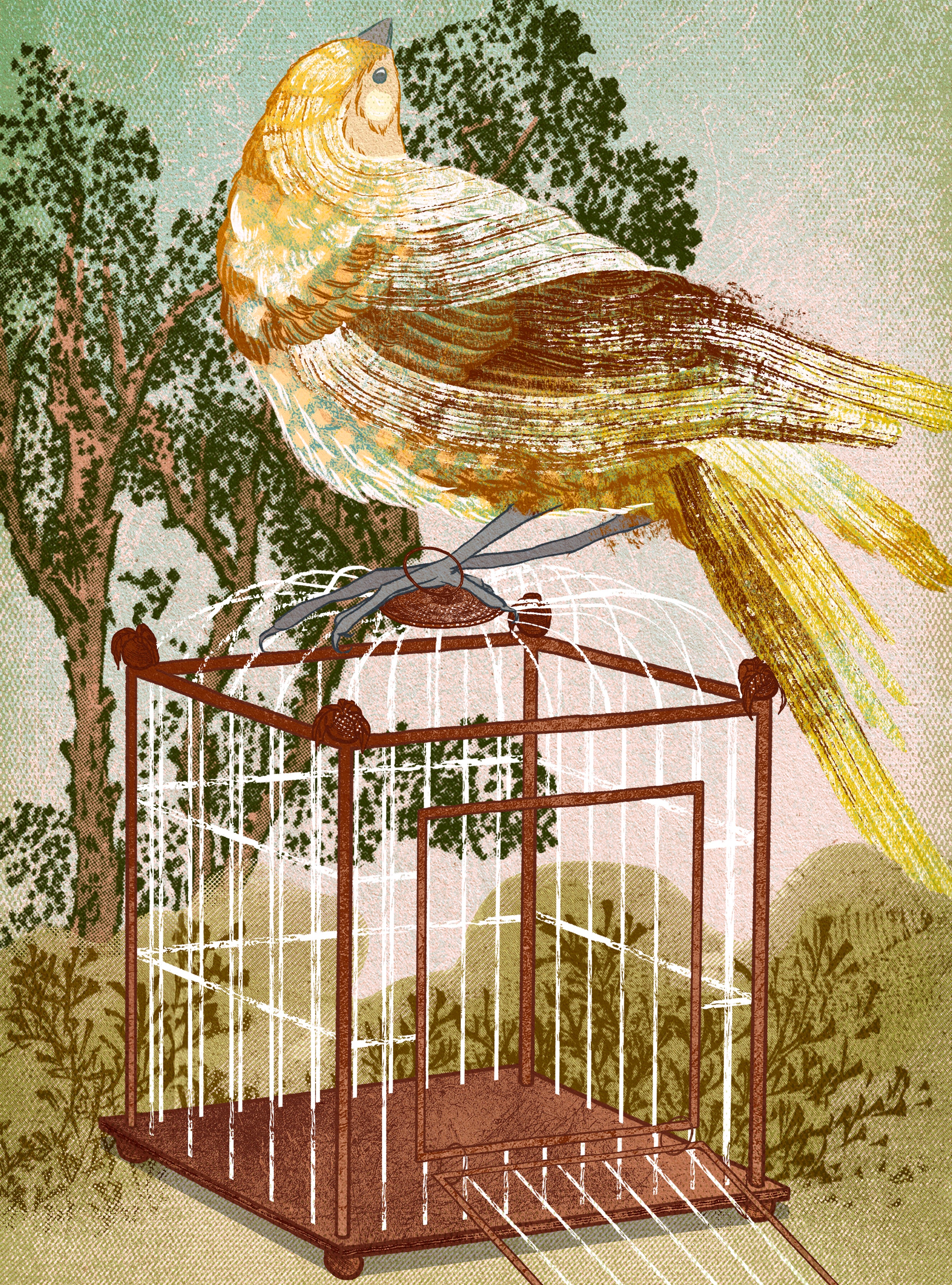 Bird cage