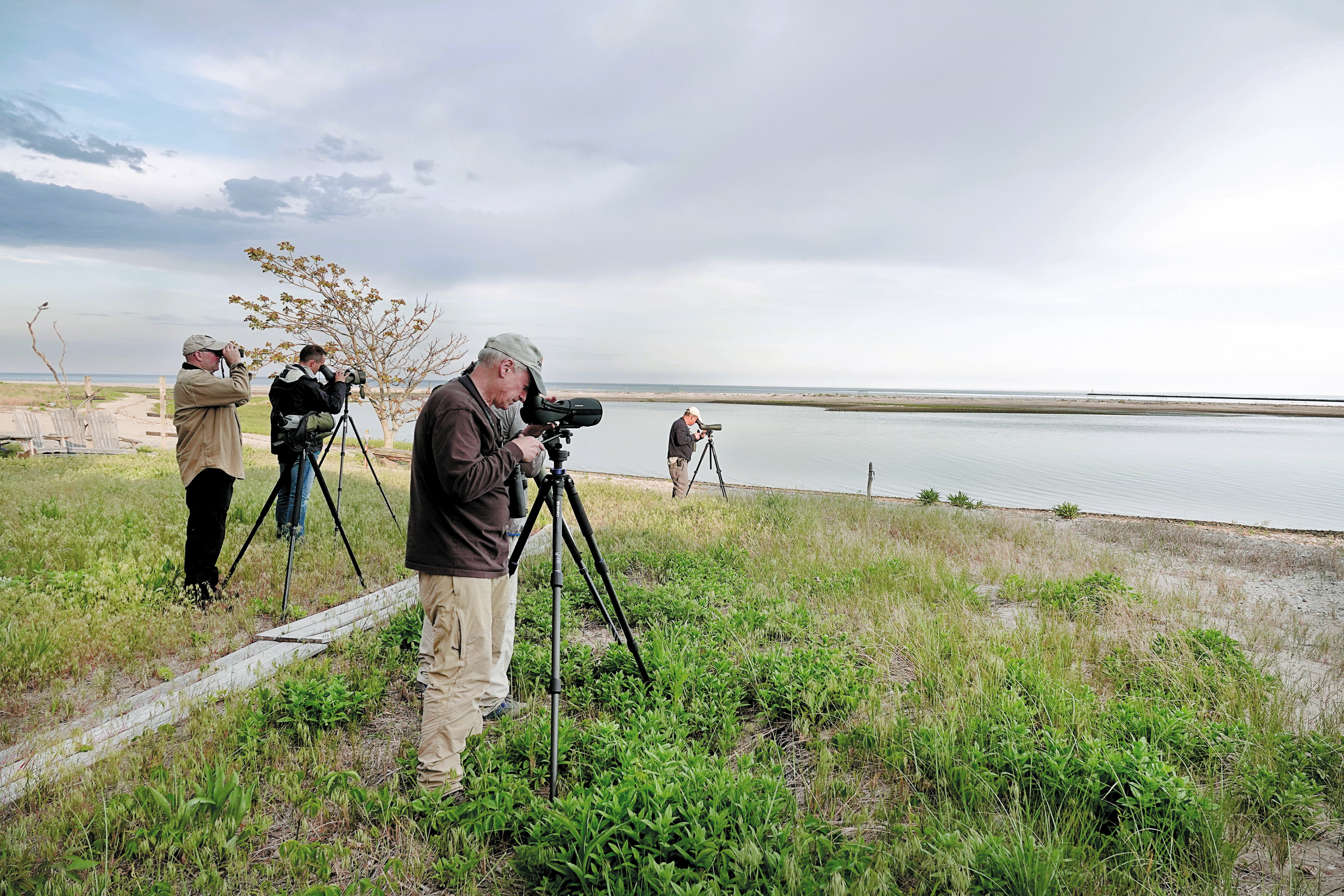 Five people bird watching.