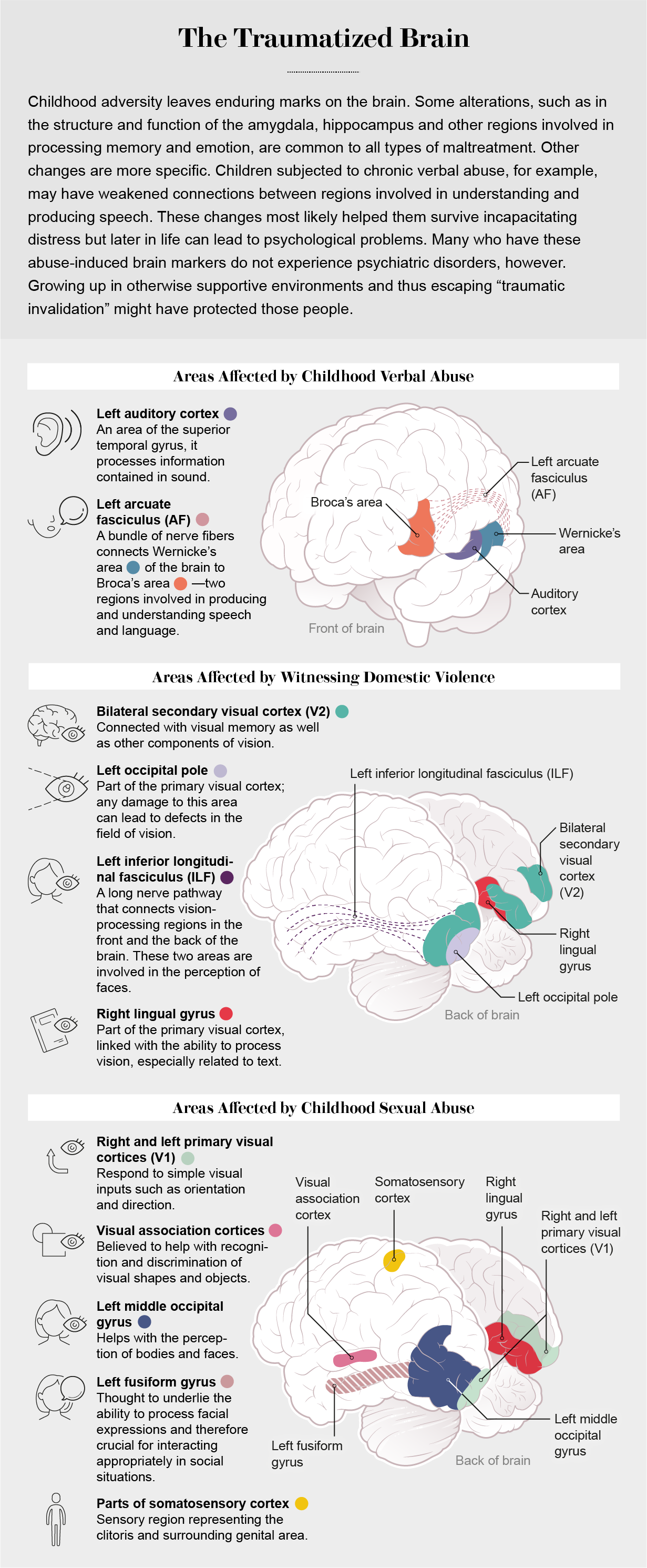 Borderline Personality Disorder May Be Rooted in Trauma pic