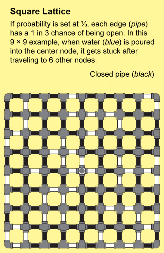 Animation of 9 by 9 lattice with probability set at 1/3. Water poured into center node stops after going to 6 other nodes.