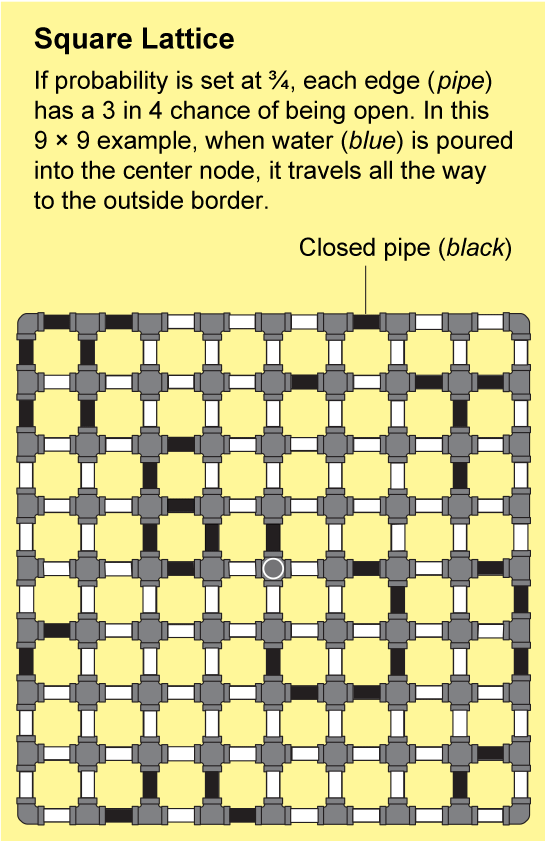 Animation of 9 by 9 lattice with probability set at 3/4. Water poured into center node travels all the way to outside border.
