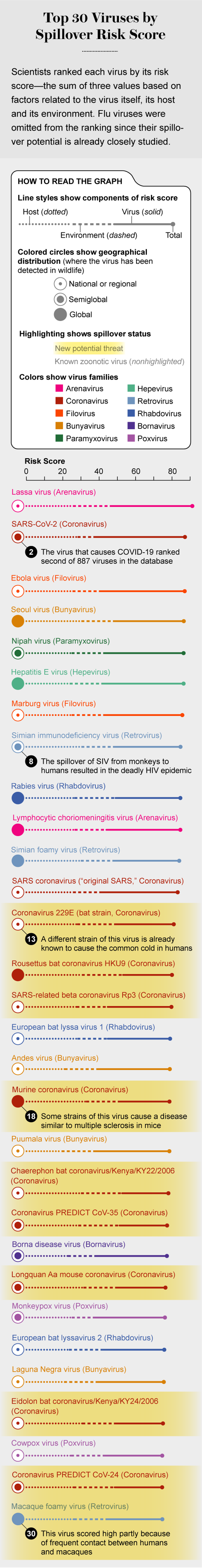 The Animal Viruses Most Likely to Jump into Humans | Scientific American