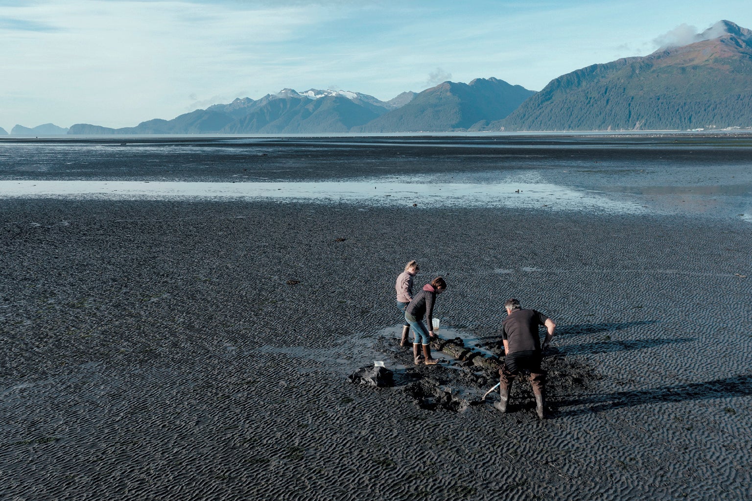 Scientists from the Alutiiq Pride Marine Institute dig for clams near Seward 