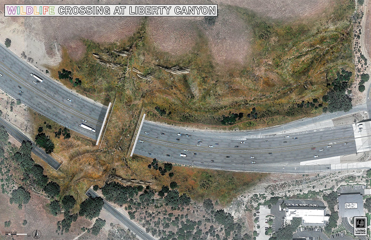 A wildlife bridge to be built across Highway 101, shown in an artist's rendition.