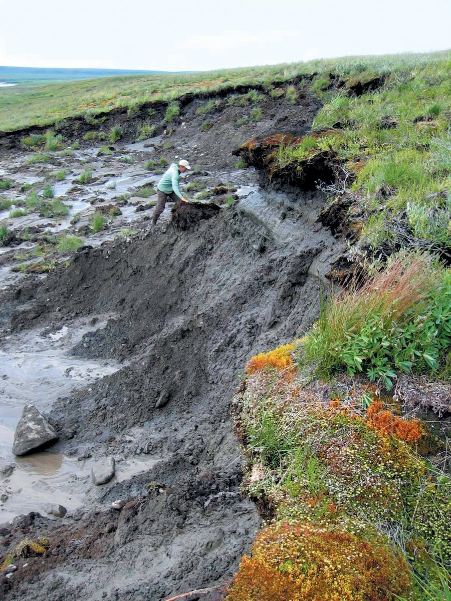 Sinkholes exposing permafrost and ice wedges.
