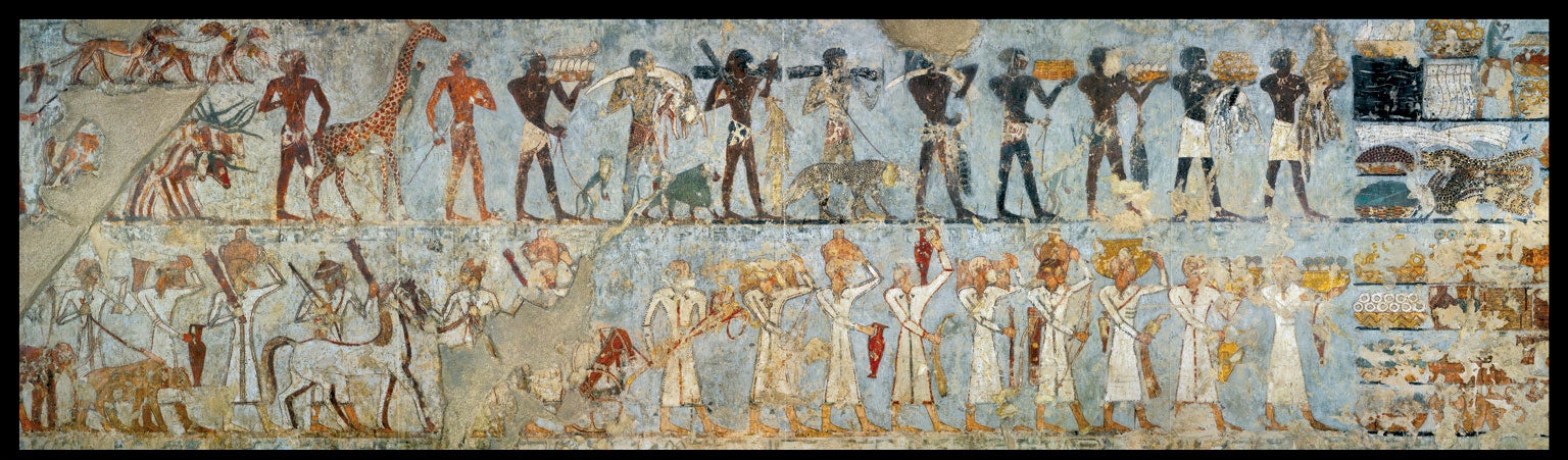 Wall painting from a Theban Tomb depicts in the top row of figures a procession from Nubia marching with a hamadryas baboon.