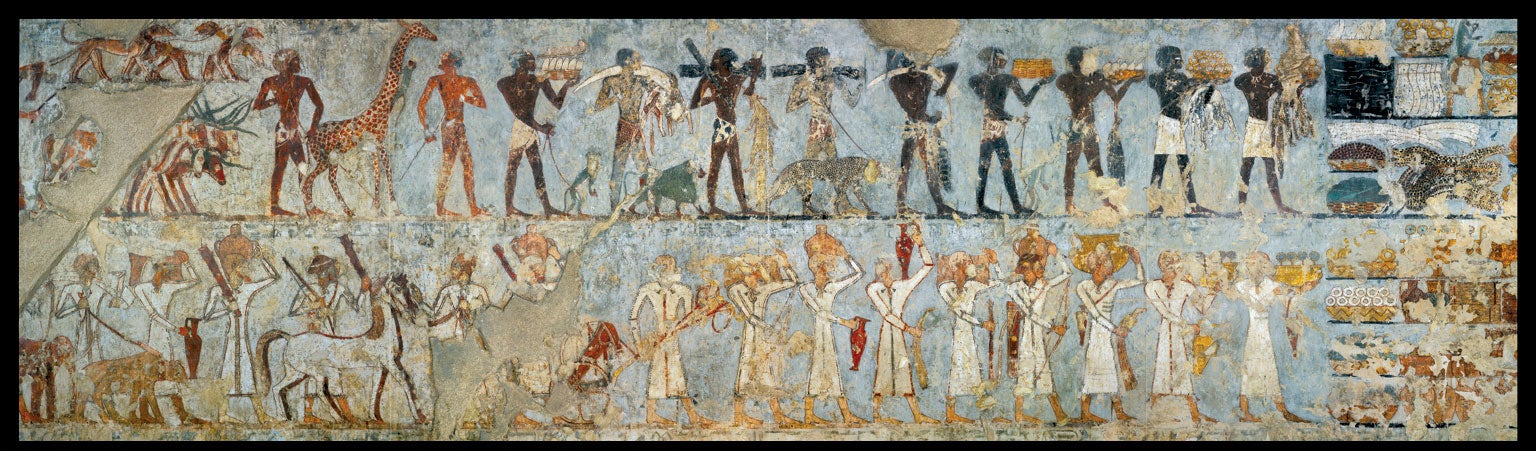 Wall painting from a                Theban Tomb depicts in the top row of figures a procession                from Nubia marching with a hamadryas baboon.