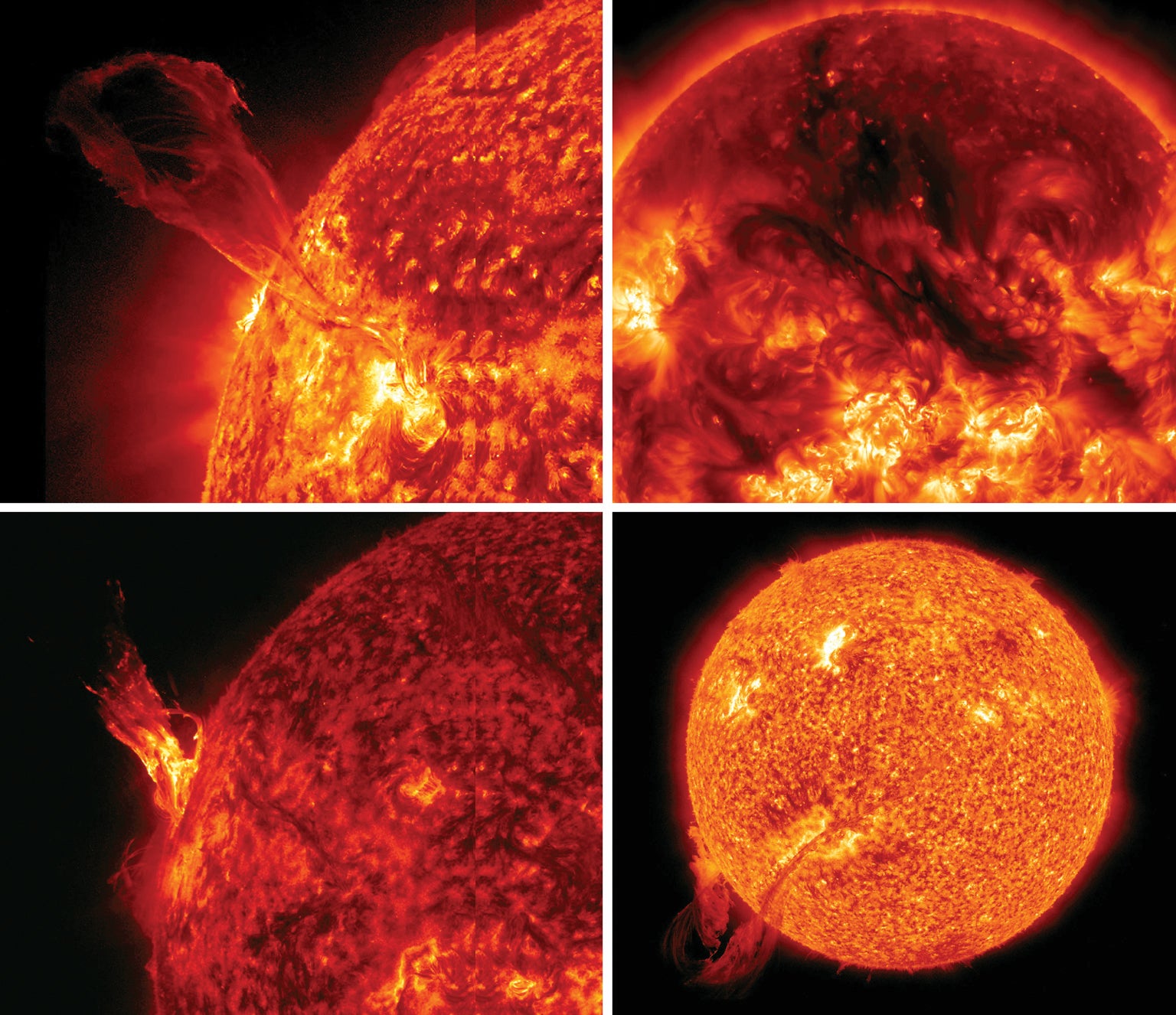 A churning maelstrom of twisted magnetic fields drives the outbursts that define the sun's 11-year activity cycle (grid).