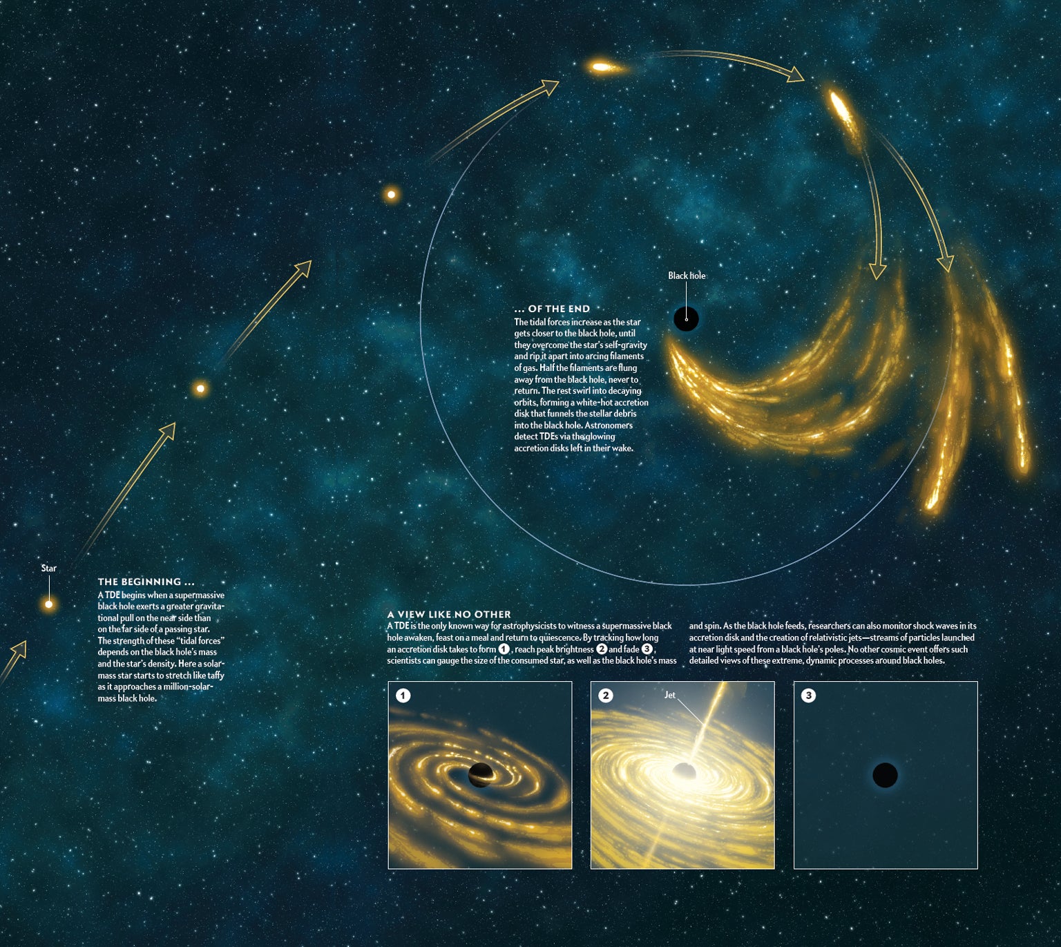 Modeling Galaxies, Black Hole Apocalypse