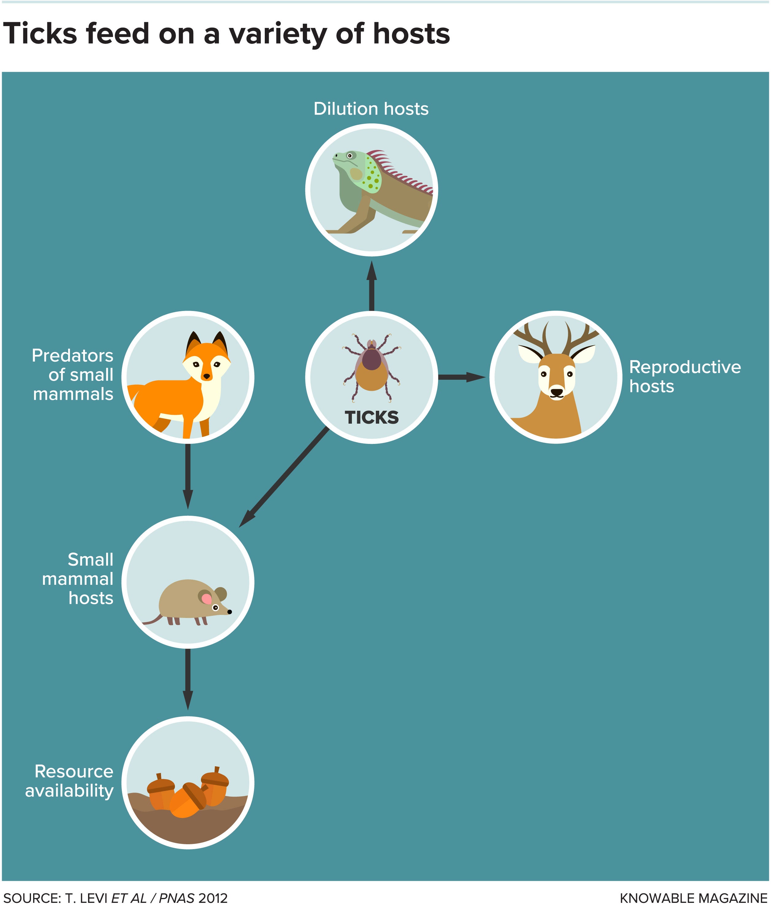 Hosts ticks feed off of.