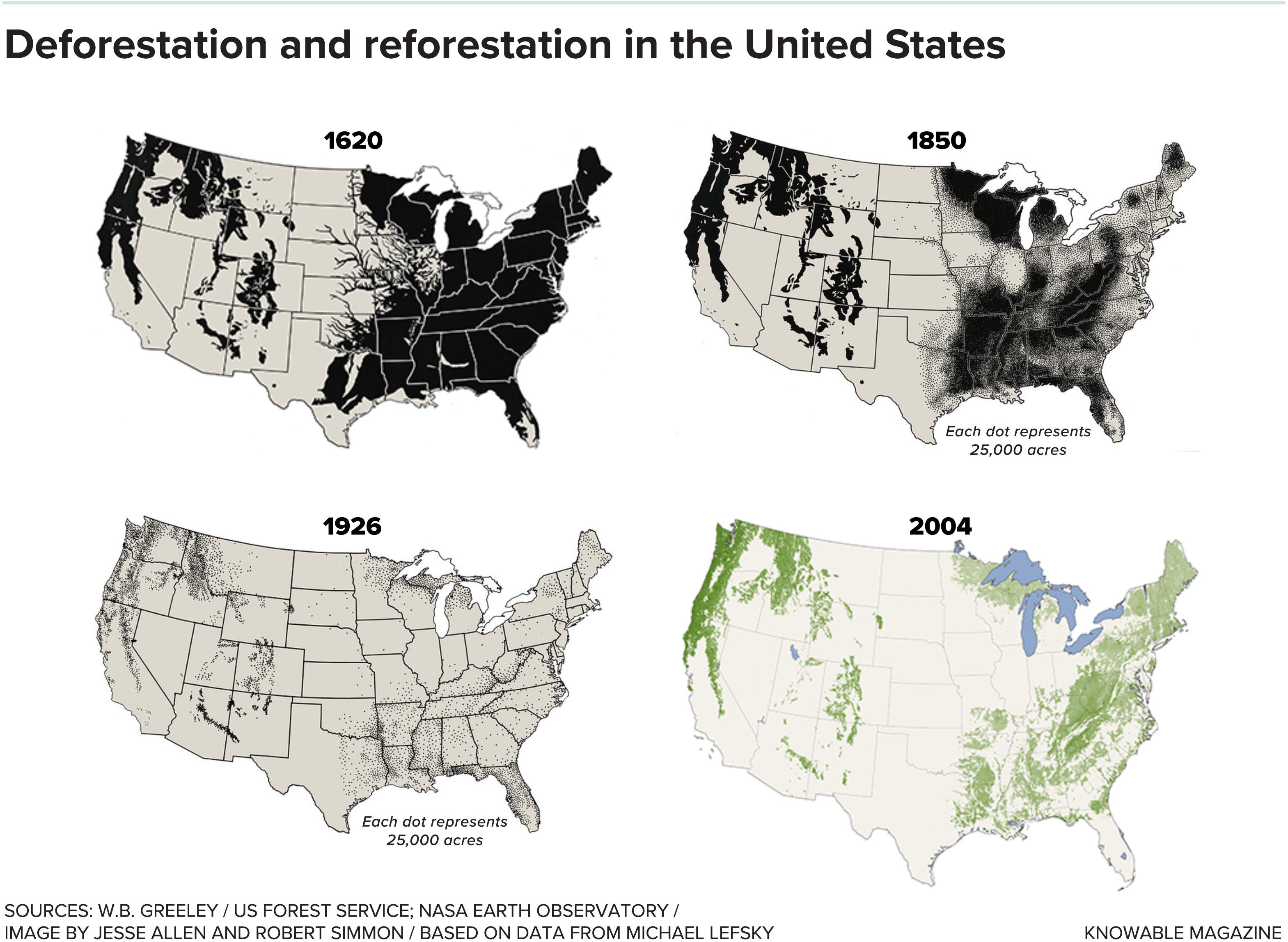 Deforestation and reforestation in the United States.
